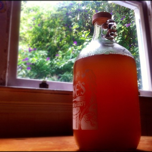 "Casa D Kombucha" by sxl is licensed under CC BY 2.0